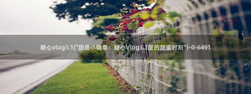 糖心vlog橘子：糖心vlog3.1(\