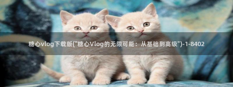 糖心vlog入口官网：糖心vlog下载版(\