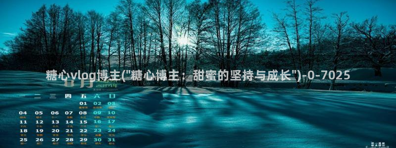 糖心vlog所有作品