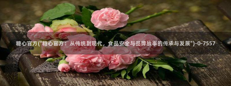 糖心vlog女主