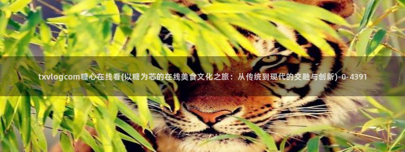 糖心velog