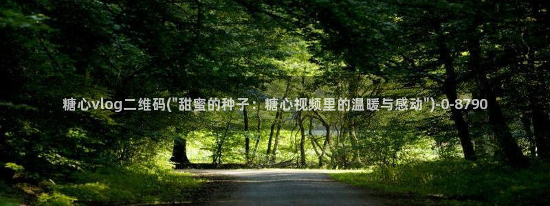 糖心vlog官网在线观看