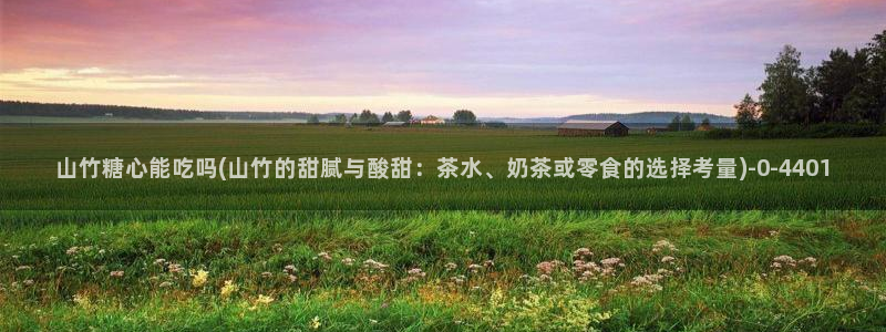 心糖vlog记录