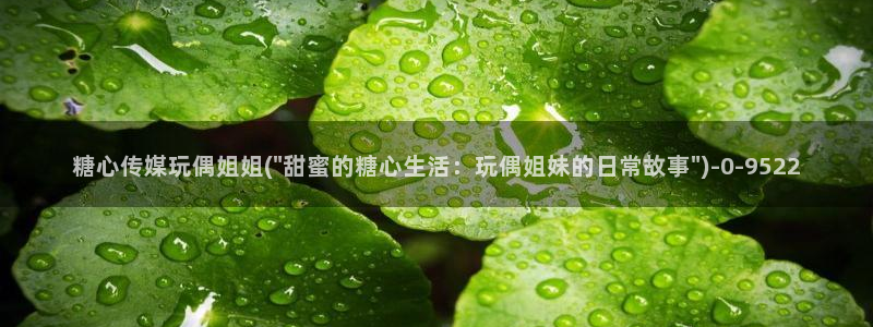 心糖vlog