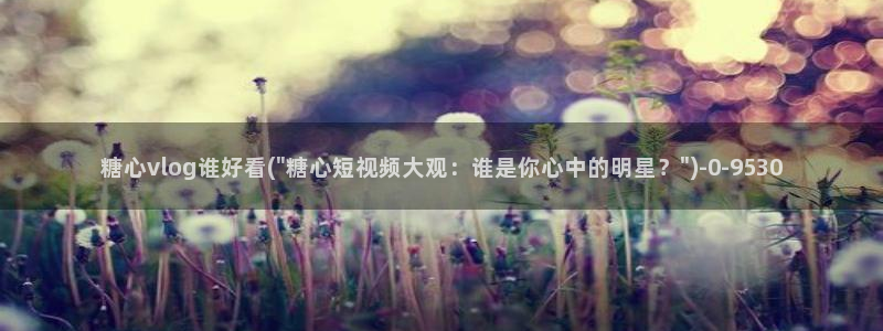 糖心vlog+