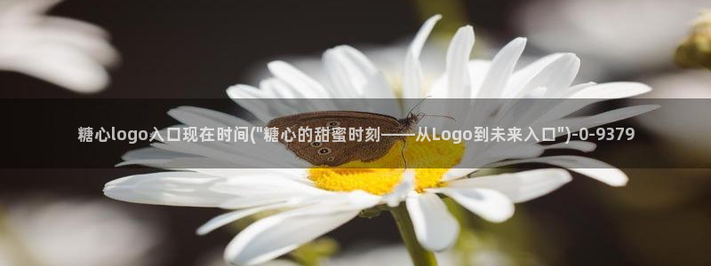 糖心vlog樱桃