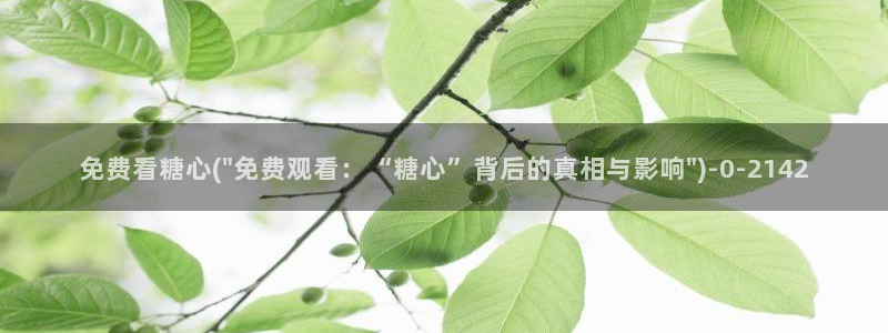 糖心vlog破解版在线