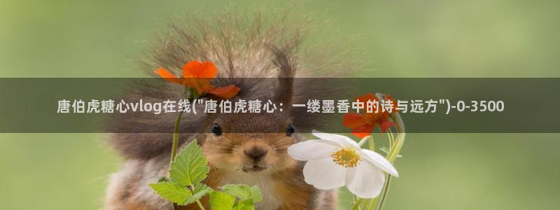 糖心vlog破译版