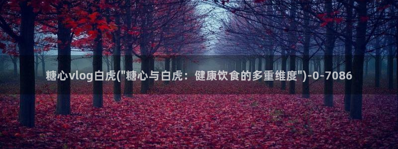 糖心vlog破解视频